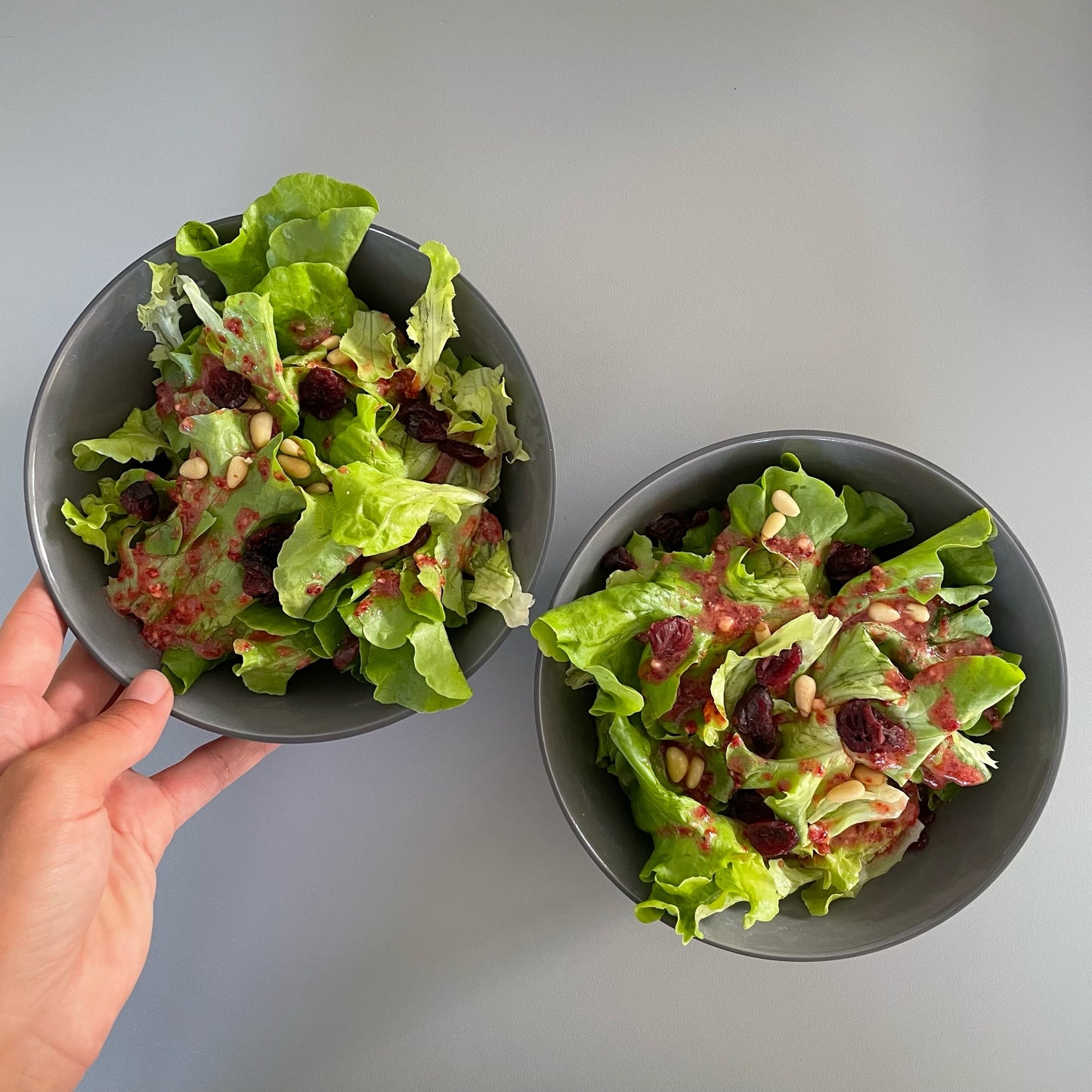 Rotes Johannisbeerpulver Bio gefriergetrocknet